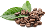 Keopu Kona Coffee farm coffee beans
